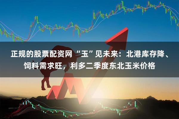正规的股票配资网 “玉”见未来：北港库存降、饲料需求旺，利多二季度东北玉米价格
